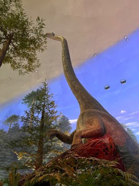 福井県立恐竜博物館に投稿された画像（2025/8/15）