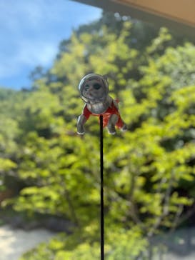 ハイパーミュージアム飯能に投稿された画像（2025/8/15）