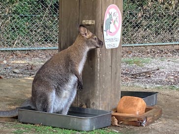 こども動物自然公園（埼玉県公園緑地協会）に投稿された画像（2025/8/15）