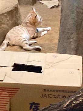 こども動物自然公園（埼玉県公園緑地協会）に投稿された画像（2025/8/15）