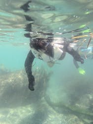 おおつちのあそびに投稿された画像（2025/8/15）