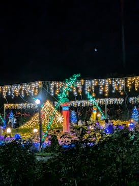 せんだい農業園芸センター　みどりの杜に投稿された画像（2025/8/15）