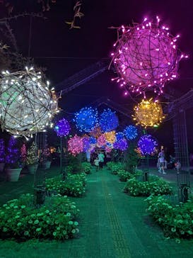 せんだい農業園芸センター　みどりの杜に投稿された画像（2025/8/15）