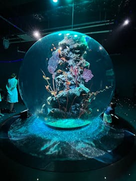 AQUARIUM × ART　atoa×神戸ポートタワーに投稿された画像（2025/8/15）