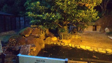 名古屋市東山動植物園に投稿された画像（2025/8/15）