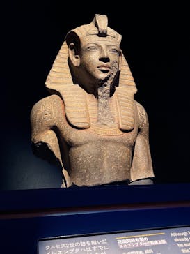 ACN ラムセス大王展 ファラオたちの黄金に投稿された画像（2025/8/15）