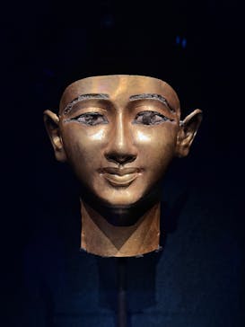 ACN ラムセス大王展 ファラオたちの黄金に投稿された画像（2025/8/15）