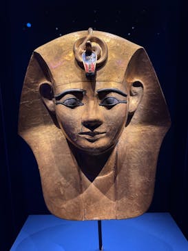 ACN ラムセス大王展 ファラオたちの黄金に投稿された画像（2025/8/15）