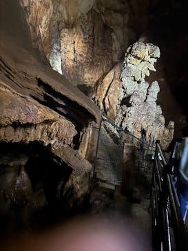 秋芳洞に投稿された画像（2025/8/15）