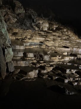 秋芳洞に投稿された画像（2025/8/15）