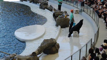 城崎マリンワールドに投稿された画像（2025/8/15）