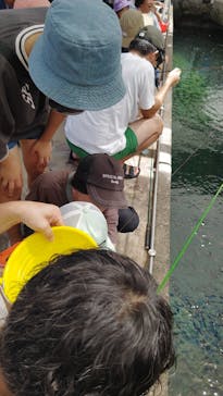 城崎マリンワールドに投稿された画像（2025/8/15）