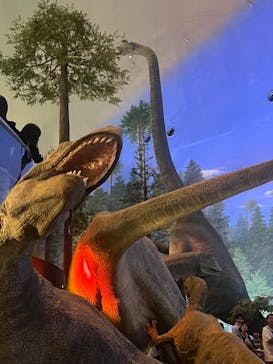 福井県立恐竜博物館に投稿された画像（2025/8/15）