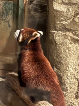 多摩動物公園に投稿された画像（2025/8/15）