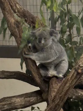 多摩動物公園に投稿された画像（2025/8/15）