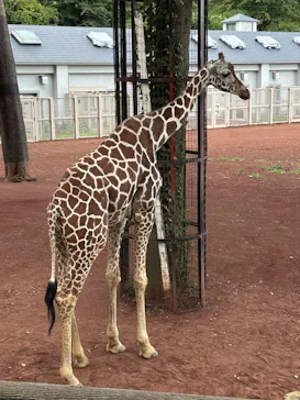 多摩動物公園に投稿された画像（2025/8/15）