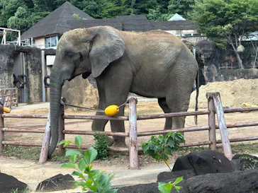 多摩動物公園に投稿された画像（2025/8/15）
