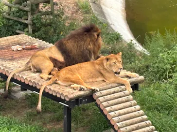 多摩動物公園に投稿された画像（2025/8/15）