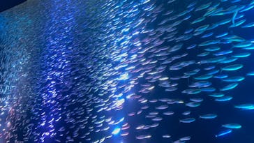 名古屋港水族館に投稿された画像（2025/8/15）