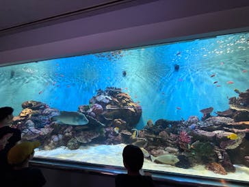 城崎マリンワールドに投稿された画像（2025/8/15）