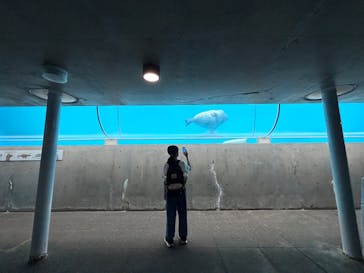 城崎マリンワールドに投稿された画像（2025/8/15）