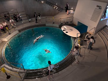 城崎マリンワールドに投稿された画像（2025/8/15）