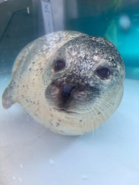 城崎マリンワールドに投稿された画像（2025/8/15）