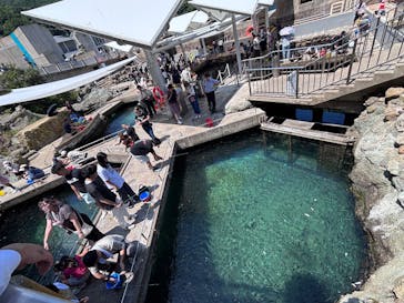 城崎マリンワールドに投稿された画像（2025/8/15）