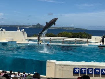 沖縄美ら海水族館に投稿された画像（2025/8/15）