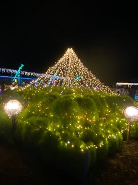 せんだい農業園芸センター　みどりの杜に投稿された画像（2025/8/15）