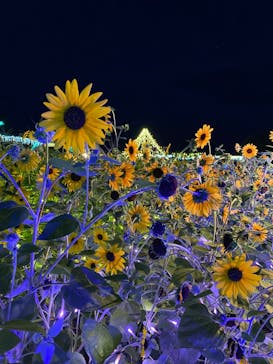 せんだい農業園芸センター　みどりの杜に投稿された画像（2025/8/15）