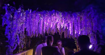 ニジゲンノモリに投稿された画像（2025/8/15）