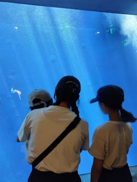 環境水族館アクアマリンふくしまに投稿された画像（2025/8/15）