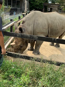 東武動物公園に投稿された画像（2025/8/15）