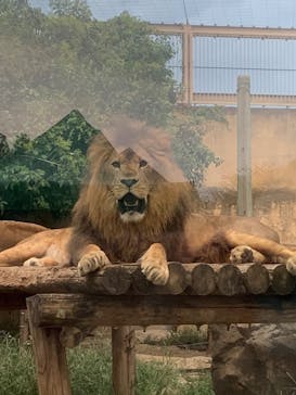 東武動物公園に投稿された画像（2025/8/15）