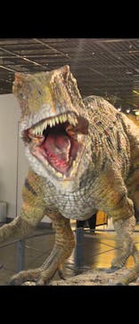 福井県立恐竜博物館に投稿された画像（2025/8/15）