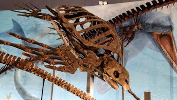 福井県立恐竜博物館に投稿された画像（2023/10/4）