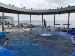 大分マリーンパレス水族館 「うみたまご」に投稿された画像（2025/8/16）