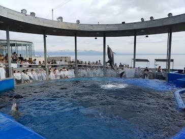 大分マリーンパレス水族館 「うみたまご」に投稿された画像（2025/8/15）