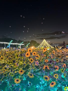 せんだい農業園芸センター　みどりの杜に投稿された画像（2025/8/15）