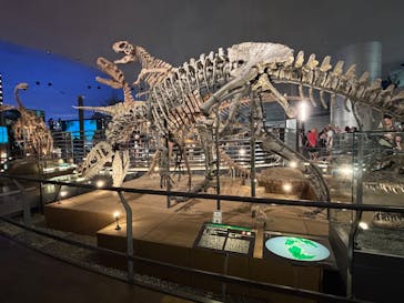 福井県立恐竜博物館に投稿された画像（2025/8/15）