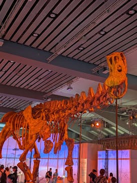 福井県立恐竜博物館に投稿された画像（2025/8/15）