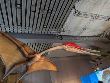 福井県立恐竜博物館に投稿された画像（2025/8/15）