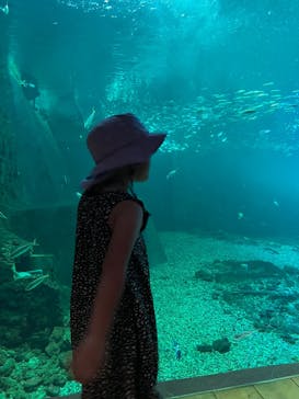 南知多ビーチランド＆南知多おもちゃ王国に投稿された画像（2025/8/15）