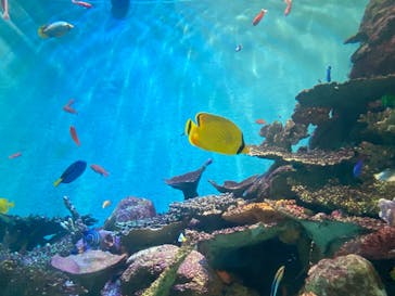 城崎マリンワールドに投稿された画像（2025/8/15）