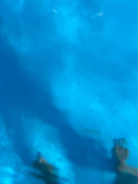 しらこばと水上公園（埼玉県公園緑地協会）に投稿された画像（2025/8/15）