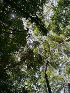 ウトロベースに投稿された画像（2025/8/15）