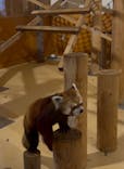 日立市かみね動物園に投稿された画像（2025/8/16）