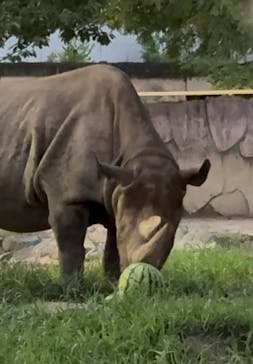 日立市かみね動物園に投稿された画像（2025/8/15）