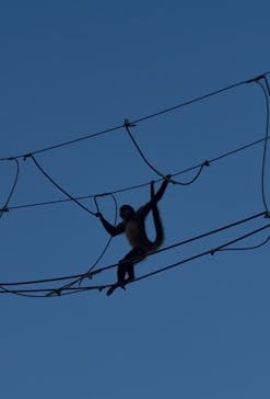 日立市かみね動物園に投稿された画像（2025/8/15）